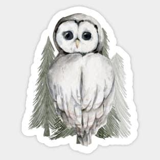 Watercolor baby owl Sticker